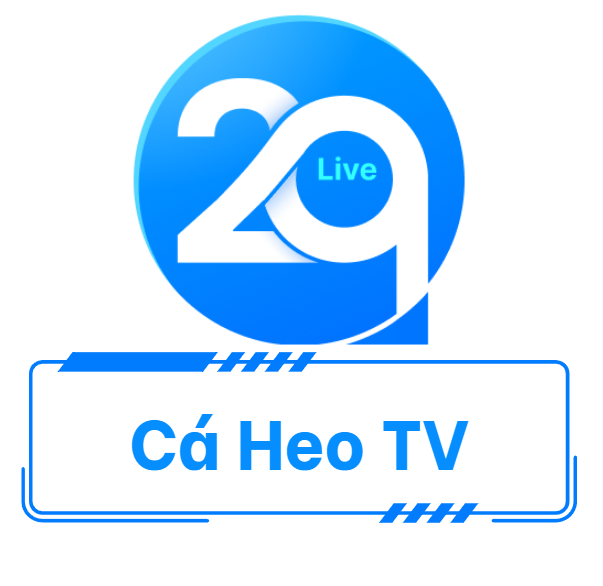 Nền tảng trực tiếp bóng đá Cá Heo TV.