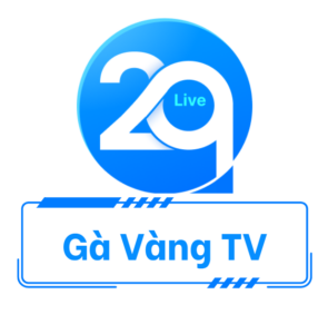 Những lý do nên chọn Gà Vàng TV.